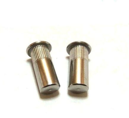 1-3.5 Pitch Zinc Finish Carbon Steel Stainless Steel Rivet Nuts for Durable Fastening