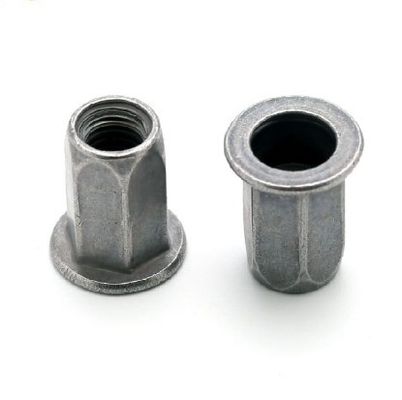 Yellow Zinc Carbon Steel M6 Flat Round Head Half Hex Rivet Nut for Internal and External
