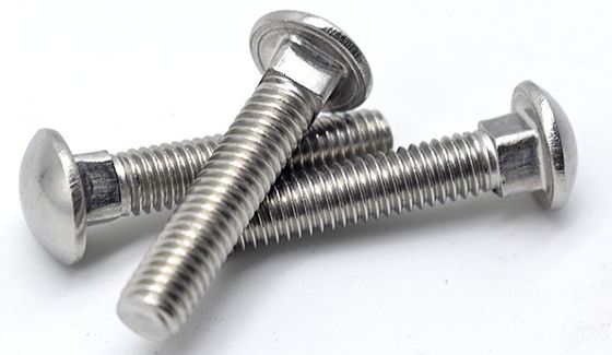 ISO9001 Certified Stainless Steel Carriage Bolt DIN603 for Steel Industry