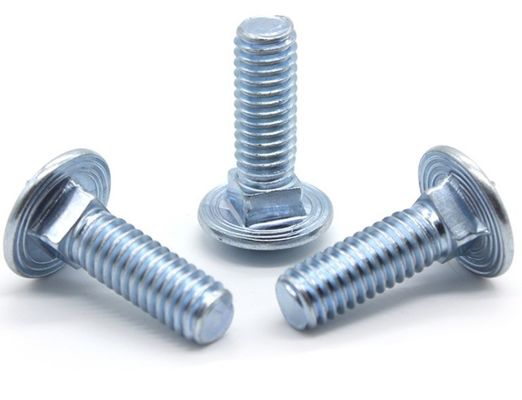 ISO9001 Certified Stainless Steel Carriage Bolt DIN603 for Steel Industry
