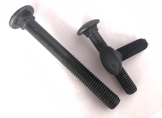 ISO9001 Certified Stainless Steel Carriage Bolt DIN603 for Steel Industry
