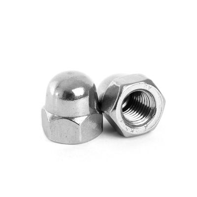 Building M2-M30 Fastener 304 Stainless Steel Hexagon Round Head Nut with Decorative Cover