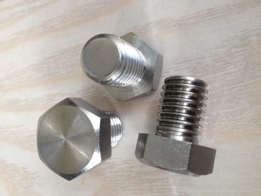 High Precision Stainless Steel 304 Hex Bolts and Nuts for High Temperature Applications