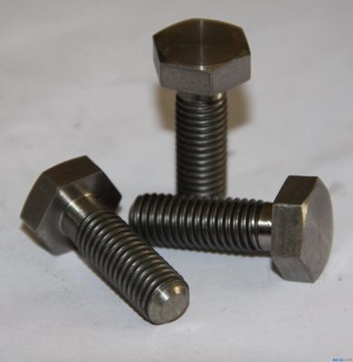 Stainless Steel High Strength Hexagonal Nut Galvanized and Foundation Hex Head Bolt Fastener DIN931