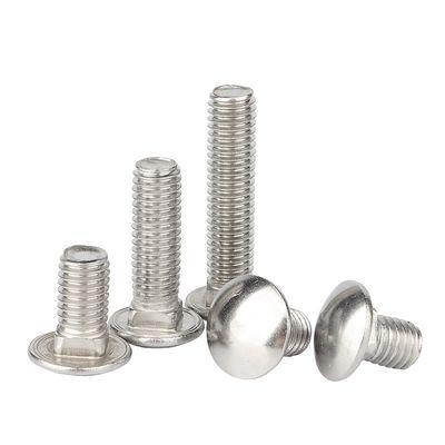ISO9001 Certified Hot-Dip Galvanized Half-Round Head Square Neck Bolt for Bridge Frame